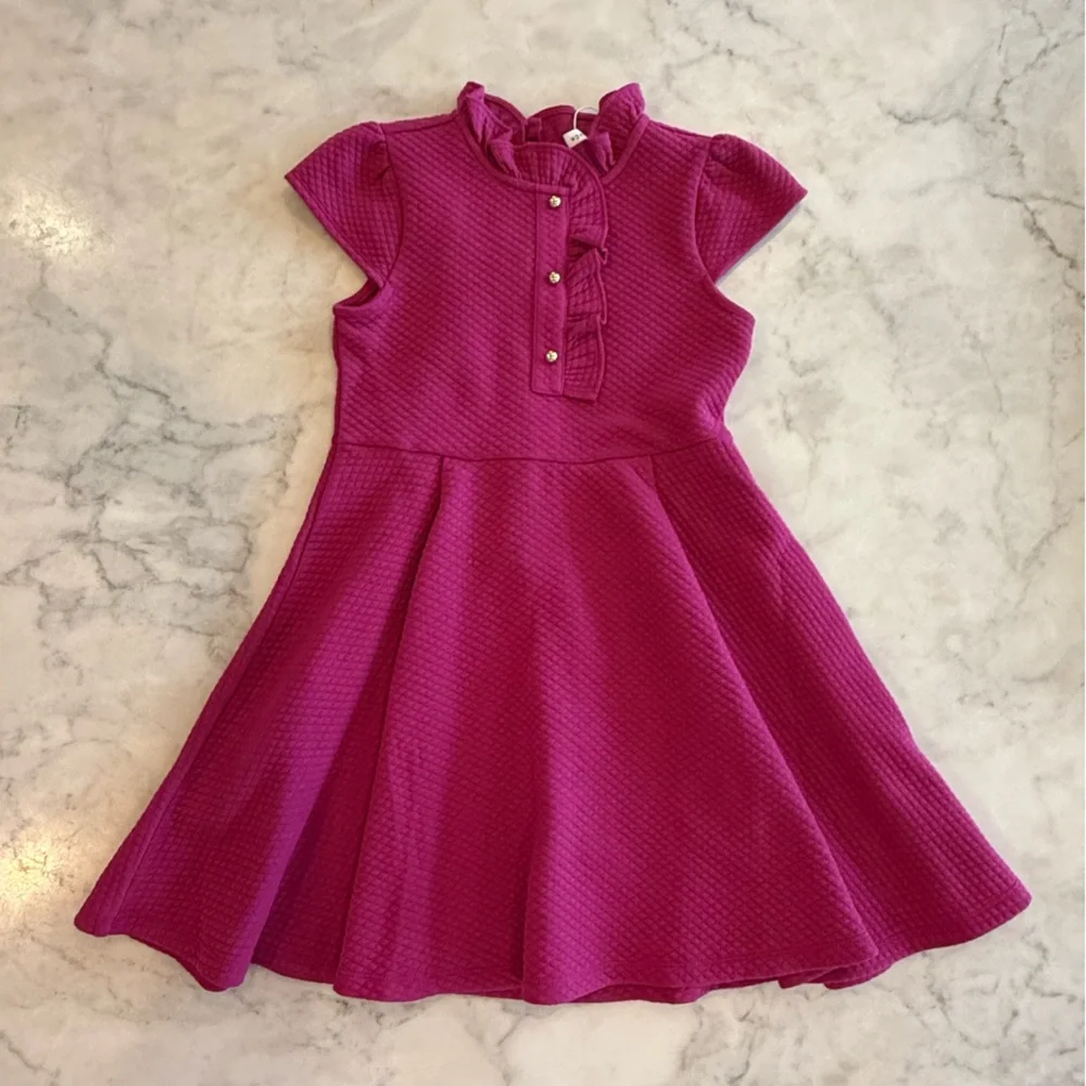 Janie and Jack Pink Fit and Flare Dress with Peter Pan Collar - Picture 1 of 4